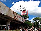 201109WDW_104P28105