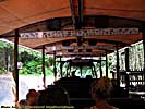 201109WDW_144P28123