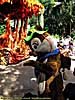 201109WDW_219P28150