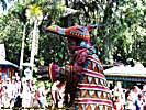 201109WDW_253P28150