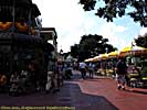 201109WDW_368P29145