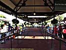 201109WDW_377P29161