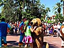 201110WDW_710P01141