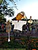 201110WDW_806P02172