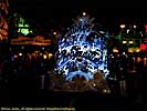 201112WDW_1115P09192