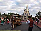 201112WDW_1208P10072