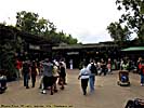 201112WDW_1435P10152