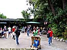 201112WDW_1436P10152