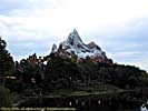 201112WDW_1466P10163