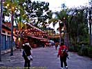 201112WDW_1469P10163