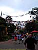 201112WDW_1471P10163