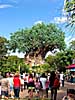 201112WDW_1571P11101