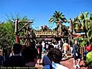 201203WDW_0186P05105