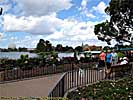 201203WDW_1062P08135