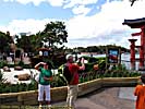 201203WDW_1070P08142