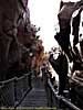 201203WDW_1107P08154