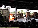 201203WDW_1359P09142