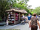 201210WDW_0801X01102