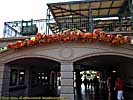 201210WDW_0950X01121