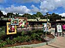 201210WDW_1896X04100