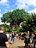 201210WDW_1908X04100