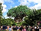 201210WDW_1909X04100