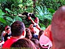 201210WDW_1968X04121