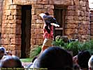 201210WDW_1986X04122