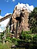 201210WDW_2049X04142