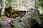 199509Min_078F0234magrock