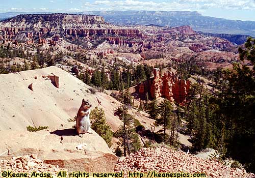 Bryce Canyon